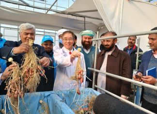 KOPIA ‘Overseas Agricultural Technology Development Project Korea held a ‘bottle-free seed potato’ harvest celebration in Pakistan’