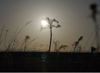 Japan marks 13 years since quake-tsunami, Fukushima nuclear crisis
