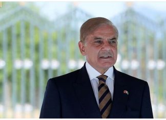 Elements involved in corruption, criminal negligence be held accountable, Prime Minister Shehbaz Sharif