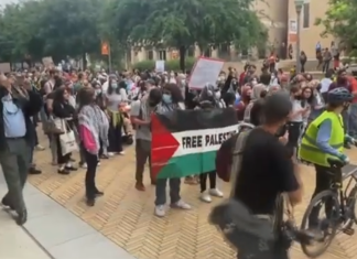 Dozens arrested on California campus after students in Texas detained as Gaza war protests persist