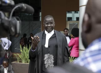 Gay rights activists call for more international pressure on Uganda over anti-gay law