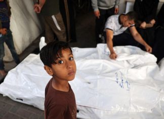 Hamas negotiators arrive in Egypt for Gaza truce talks: media