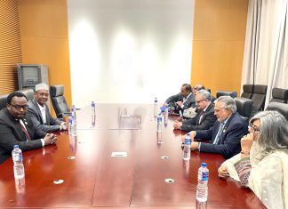 Deputy PMs of Pakistan, Somalia discuss ways to strengthen bilateral ties