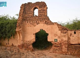 Abu Arish Castle: An attraction for tourists and enthusiasts of history and ancient architecture