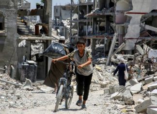 Gaza casualty figures in war’s early stage accurate: Study