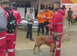Indonesian landslide triggered by heavy rain leaves 12 dead and dozens missing at illegal gold mine