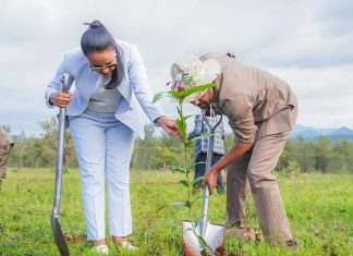 We Must Continue Planting Saplings in Areas Like Abay River Basin, Says Abiy Ahmed, Prime Minister of Ethiopia
