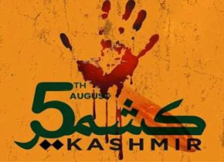 Youm-e-Istehsal reminds of India’s unilateral, illegal actions on IIOJK: Deputy PM