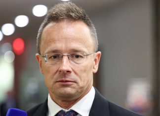 Ukraine’s NATO membership impossible, most members understand it — top Hungarian diplomat