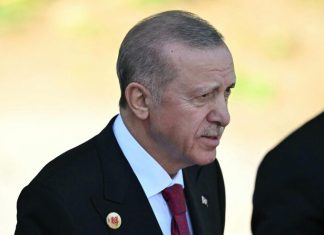 Erdogan says Turkiye prepared if US withdraws from Syria