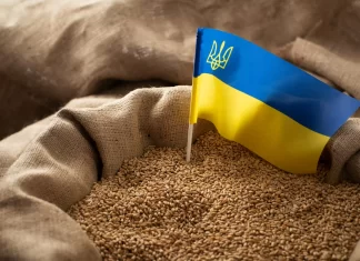 The Grain from Ukraine Initiative: A Call to Action for Pakistan