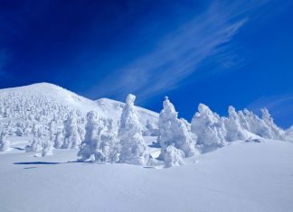 Japan, The safest Tourism of Our Planet