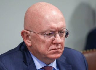 Israel by banning UNRWA violates terms of its admission to UN — Russia’s UN envoy