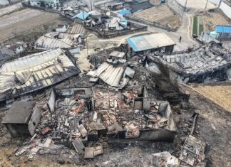 At least 24 dead as wildfires ravage southern South Korea and force 27,000 to evacuate