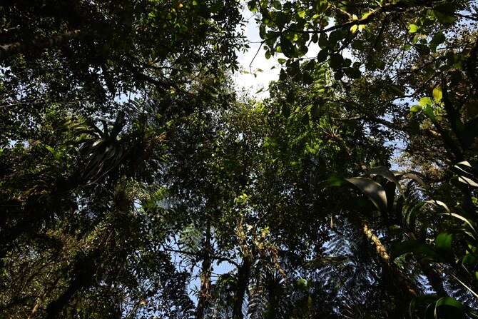 afp_20250315_372g38x_v1_highres_guatemalatourismranchitosdelquetzal_1