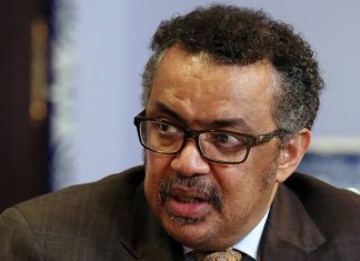 New pandemic inevitable, WHO chief asserts