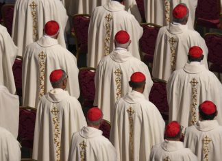 Habemus papam: Catholic Church’s new pope could be one of these cardinals