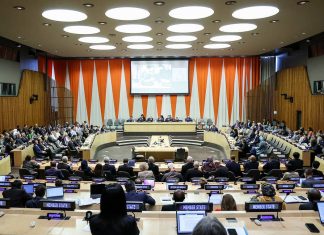 Russia elected to UN Economic and Social Council