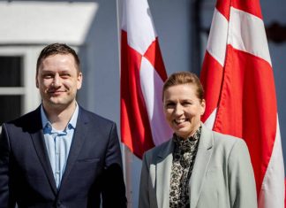 France’s president will visit Greenland in a show of EU unity, Danish leader says