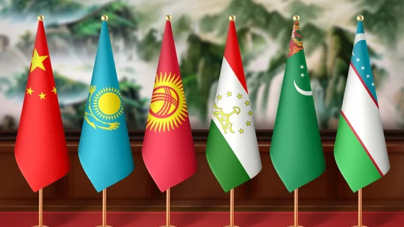 60f6c8b8-70ff-4e77-8a81-3f911c81b71c