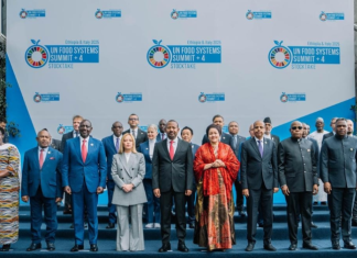 Prime Minister Abiy Ahmed Leads Global Call for Sustainable Food Systems at UN Summit in Rome