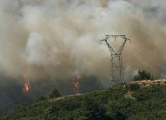 How climate change is devastating the Mediterranean