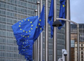 EU nations fail to adopt joint statement on Alaska summit