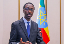 Ethiopia Defends GERD at UNSC, Reaffirms Sovereign Right to Nile Utilization