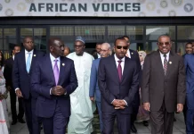 African Leaders Unite in Ethiopia to Demand Climate Investment