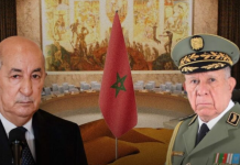 Western Sahara: What does Algeria Really Want?