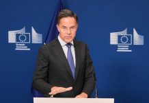 NATO to provide Belgium with drone combat assistance — alliance