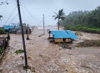 Typhoon Fung-wong leaves wide swath of destruction, displaces 1.4 million people in northern Philippines