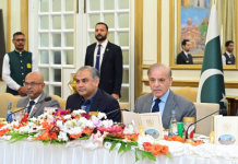 PM Shehbaz Sharif Hails International Cricket Events as Testament to Pakistan’s Stability and Positive Image
