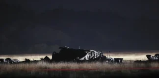 All 20 personnel on a Turkish military cargo plane that crashed in Georgia died