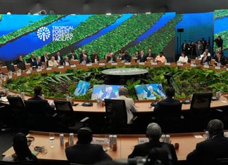 UN climate summit sends a message of global ‘mutirao’