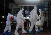 Low risk of Nipah virus spread beyond India, says WHO