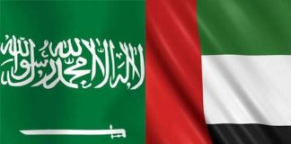 The real story behind the Saudi–UAE rift