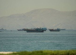 NATO and the GCC states ahead of Turkiye summit