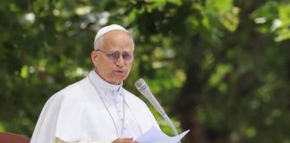 Pope Leo decries ‘dizzying’ profits earned by companies that pollute