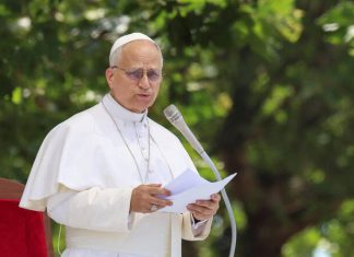 Pope Leo decries ‘dizzying’ profits earned by companies that pollute