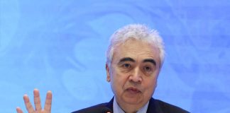 IEA Chief Welcomes U.S.-Iran Ceasefire, Calls for Unconditional Reopening of Strait of Hormuz