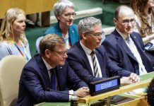 What now for Germany after humiliating UNSC defeat?