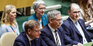 What now for Germany after humiliating UNSC defeat?