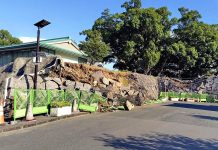 Powerful 7.1-Magnitude Earthquake Strikes Japan, Leaving More Than 50 Injured