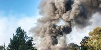 Spain Declares National Emergency as Wildfires Rage Across Madrid Region and Central Provinces