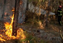 Wildfires represent yet another threat to peace and security