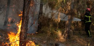 Wildfires represent yet another threat to peace and security