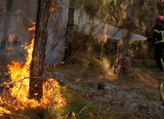 Wildfires represent yet another threat to peace and security