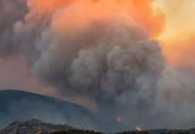 Inferno on the Border: Raging Wildfires Force Mass Evacuations Across France and Spain