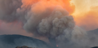 Inferno on the Border: Raging Wildfires Force Mass Evacuations Across France and Spain